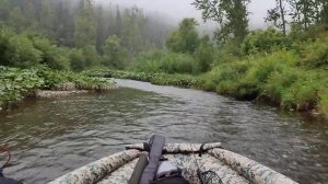 Утренний релакс. Solar sjt 430. Gladiator 40 jet.