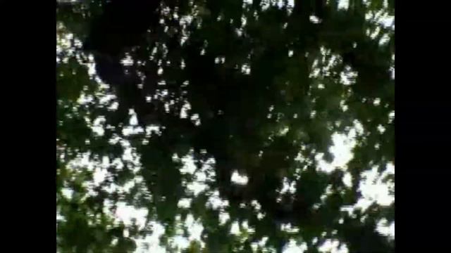 Laszlo Papp - melancholy смотреть онлайн