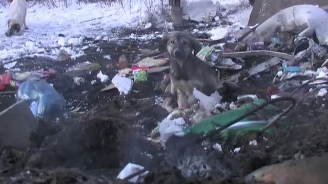 Снос домов в поселке 