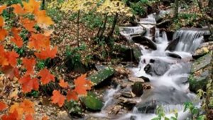 Ф. Шопен - Осень