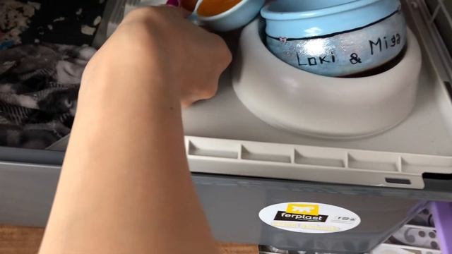 Можно крысам тыкву? ? ? смотреть онлайн