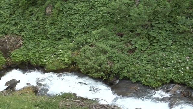 Живые Пейзажи Красивейшие Водопады