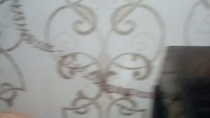 Радиола Илга 301-1(обзор)