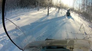 Прогулка по лесу 07 02 22 Часть 3. Протока)).mp4