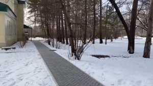 Поворот на Бузули. Амурская область