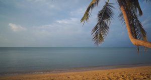 Шум моря и морской прибой. Звуки волн для отдыха и сна. Звуки природы. Релакс под шум прибоя.