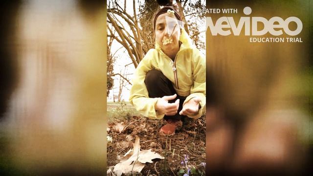 GUM Ta-Ra BUM - Trobentica смотреть онлайн