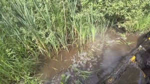 Yamaha 700, BRP 1000, RM 800 в болоте.