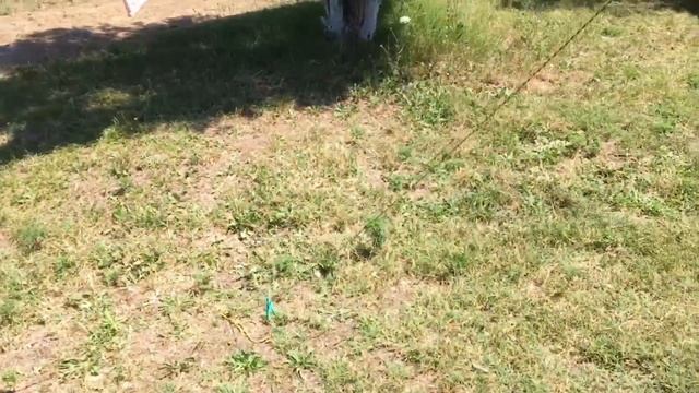 Кемпинг Пляжный Поселок 28.07.2019 смотреть онлайн