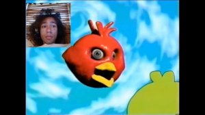 Hungry Birds Reaction