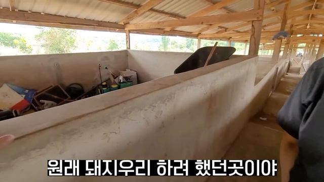 가나로 혼자 귀농한 61년생 강남토박이, 스테비아 450만평 1년 도전기 смотреть онлайн