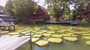 ИНСТАГРАМНОЕ МЕСТО НА ПХУКЕТЕ Ma Doo Bua