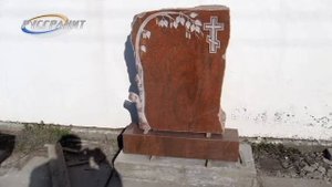 Красная береза