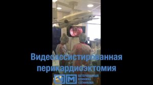 Новообразование основания сердца, тампонада и перикардиоэктомия