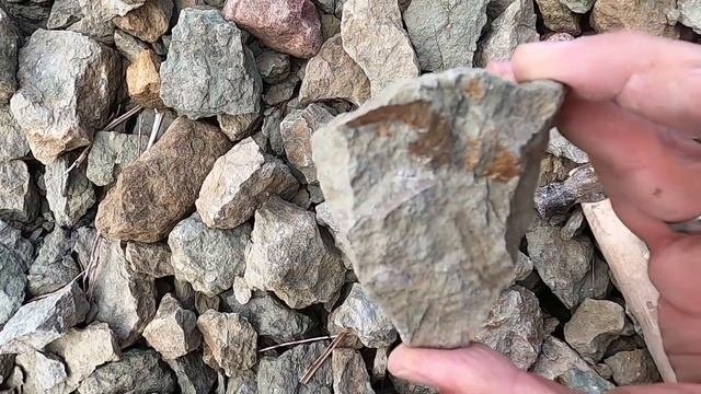 КАРЬЕРНЫЕ ПЕРСПЕКТИВЫ: (Не) нашли трилобитов в Вильповицах!