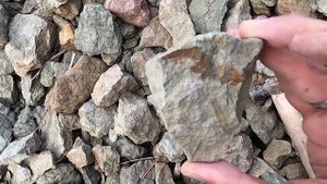 КАРЬЕРНЫЕ ПЕРСПЕКТИВЫ: (Не) нашли трилобитов в Вильповицах!