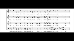 Николай Дилецкий - Хвалите имя Господне / Nicolai Diletsky - Praise the Name of the Lord