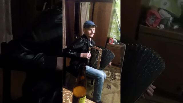 Сельский гармонист