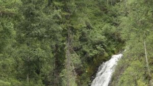 Экскурсия по Телецкому озеру