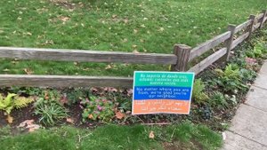 Дом Стива Джобса в Пало Альто