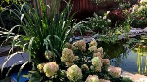 История создания  сада. Своими руками за 4 года. Прогулка по саду. Как создать сад мечты