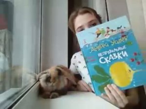 #СказкиНаНочь