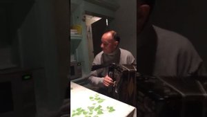 Частушки Татарские