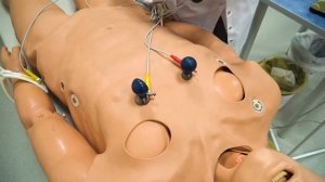 ПСА КАРДИОЛОГИЯ  Врачебные манипуляции Регистрация и интерпретация электрокардиограммы