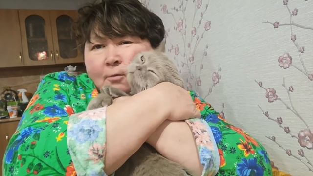 Готовить уже лень. Яичница по деревенски. смотреть онлайн