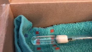 Кормление матки муравьев жнецов. Уборка в инкубаторе.