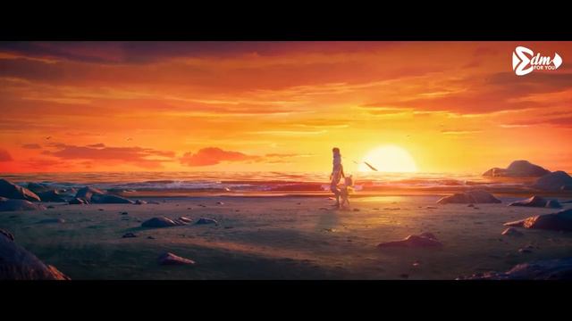 (Animation Video)