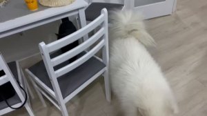 VLOG Катя всё чаще ночует у Насти. Я заболела