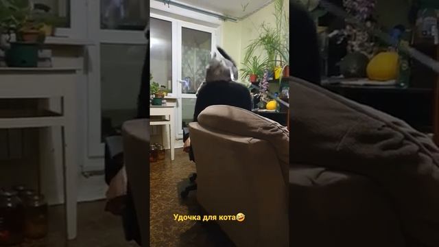 Играем с Саймоном в удочку.?❄