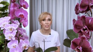 Хватит ТРАВИТЬ СЕБЯ, ОКРУЖАЮЩИХ и свои ОРХИДЕИ! НЕОПРАВДАННОЕ применение ПРЕПАРАТОВ!