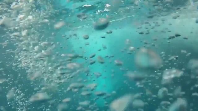 how to be a freelancer смотреть онлайн