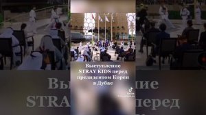 выступление Stray Kids перед президентом Ю. Кореи в Дубае.