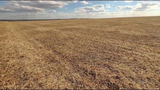 Уборка сои 2022 г. Сорт "Пруденс", прямой посев. смотреть онлайн