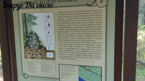 Прогулка по экотропе Комаровский берег