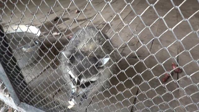 Национальный Хвалынский парк смотреть онлайн