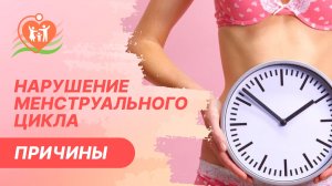 ? Менструальный цикл. Почему нарушается менструальный цикл?