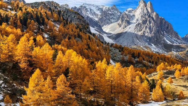 Back to Earth. From Inside Yourself (Extended) смотреть онлайн