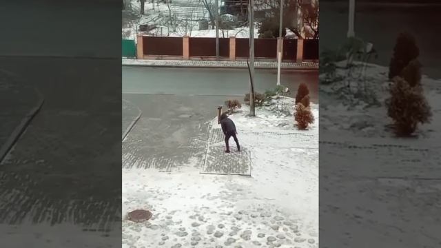фристайлер