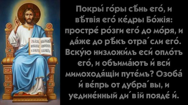 Верующие считают ее самой действенной и эффективной молитвой. Псалом 79.  "Псалом спасения"