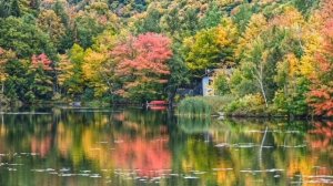 Paul Mauriat, Оркестр  Поля Мориа, золотая осень