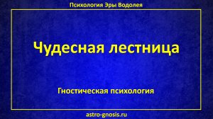 Чудесная лестница. Лестница сознания. Лестница существа. Лестница жизни. Лестница морали.