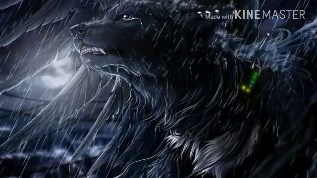 Белый волк одинок ...... смотреть онлайн