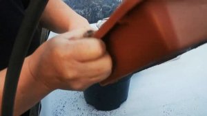 Как я храню каллы зимой в домашних условиях