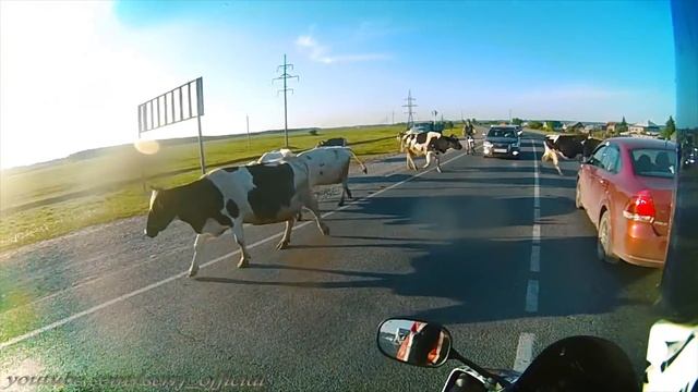 Моя МОТО ПОДБОРКА, лучших моментов уходящего сезона. смотреть онлайн