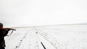 Охота на зайца по белой тропе. Разбудили косого, лежал до последнего! Вставай!!!