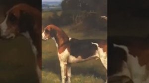 И С  Тургенев “Воробей”